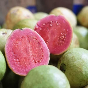 GUAVA